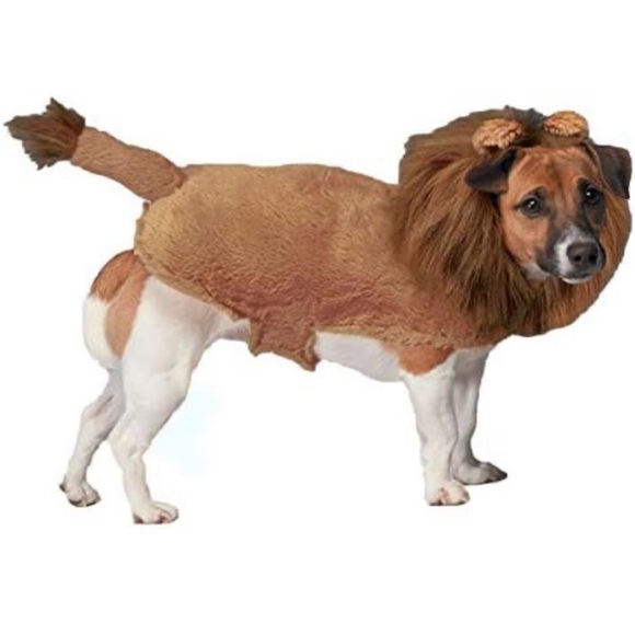 ✨Zack & Zoey✨Dog Halloween Costume✨Fuzzy Lion Costume for Dogs, X-Small✨ - Picture 3 of 7